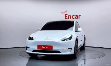 Model Y