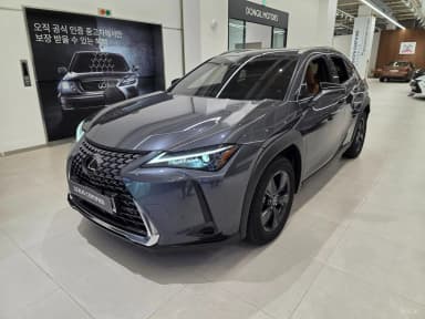 UX300h