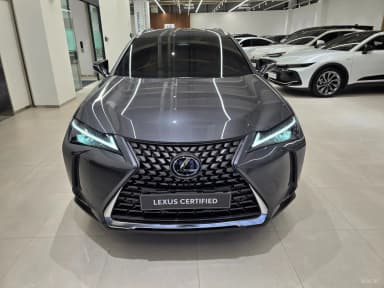 UX300h