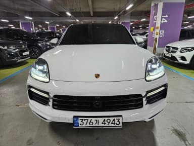 Cayenne (PO536)