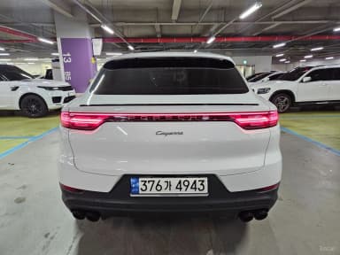 Cayenne (PO536)