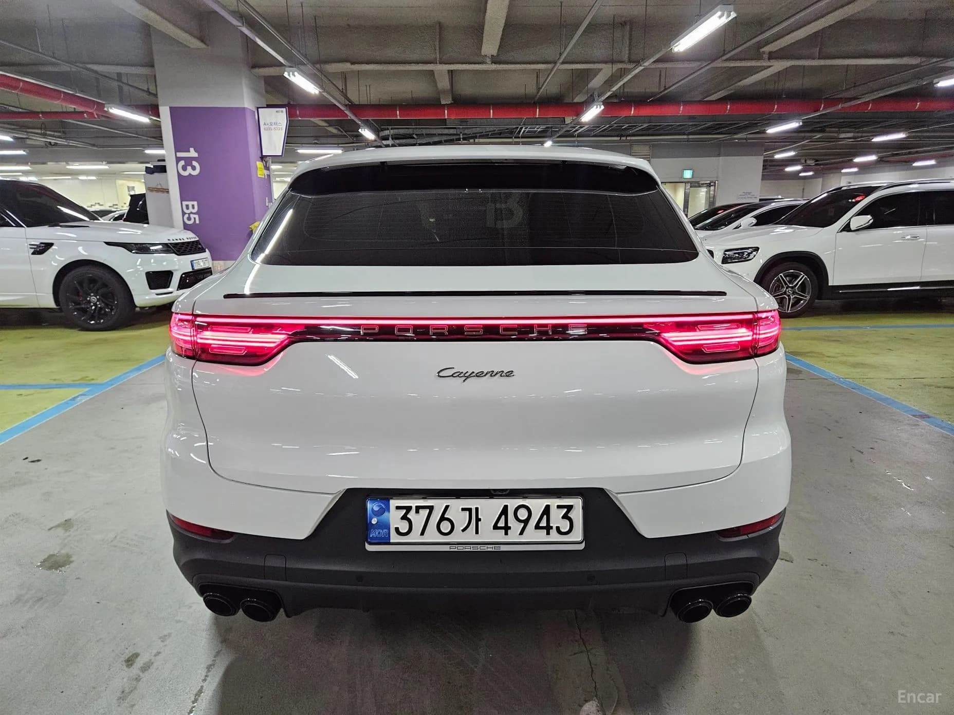 Cayenne (PO536)