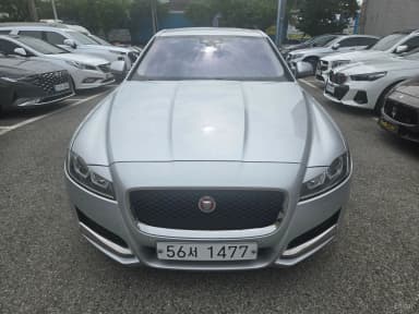 XF (x260)