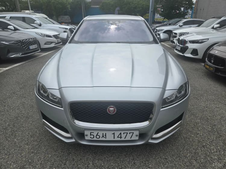 XF (x260)