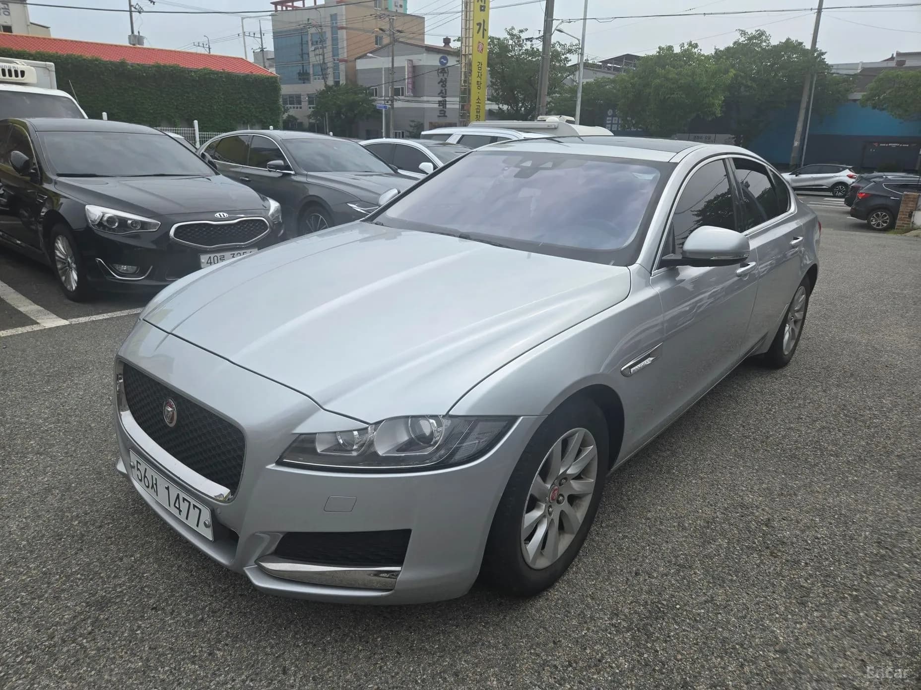 XF (x260)