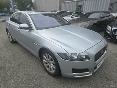 XF (x260)