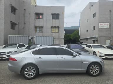 XF (x260)
