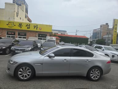 XF (x260)