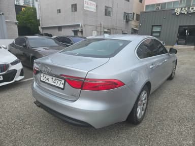 XF (x260)