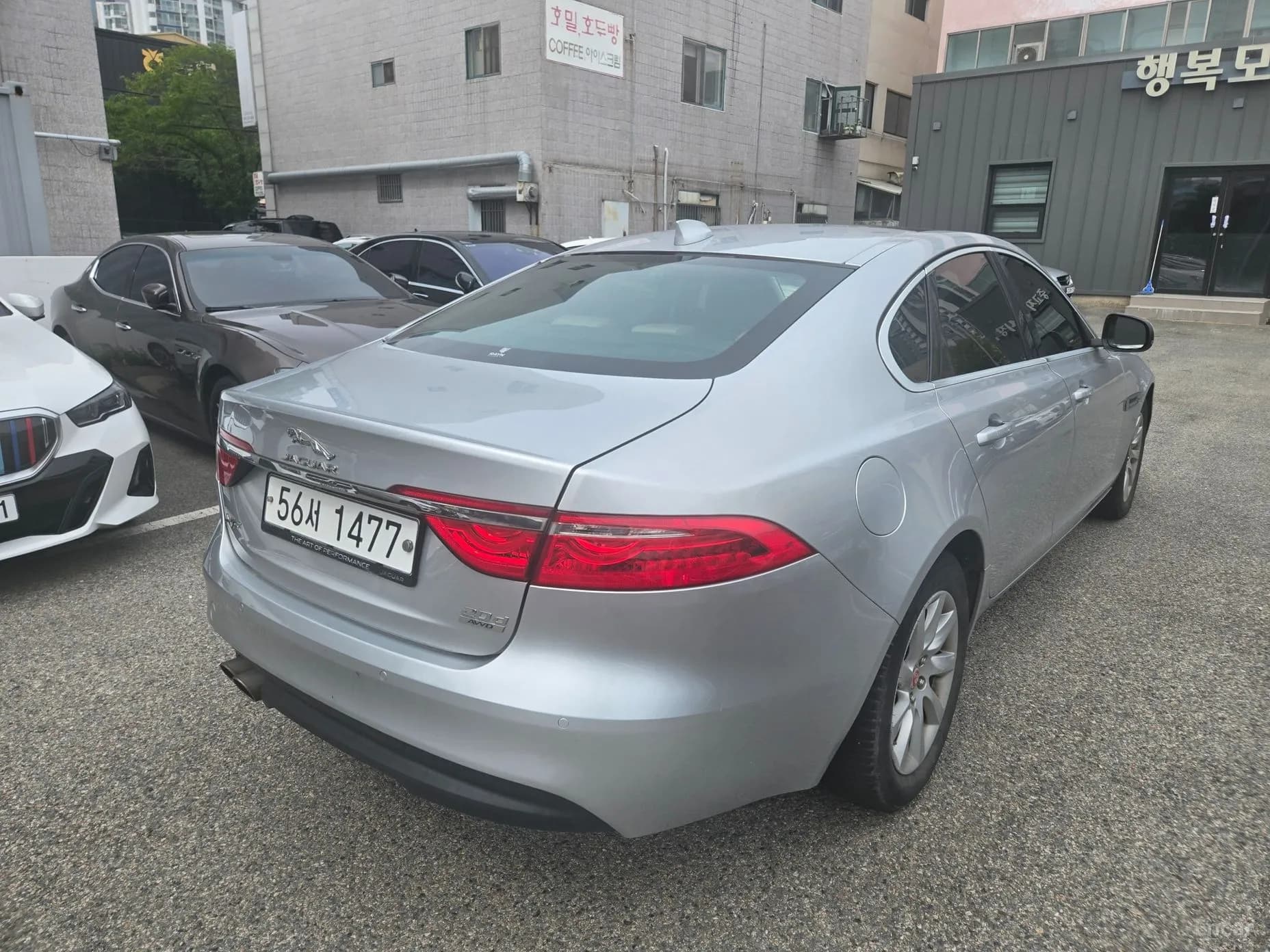 XF (x260)