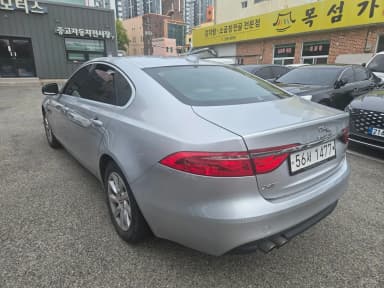 XF (x260)