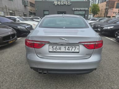 XF (x260)