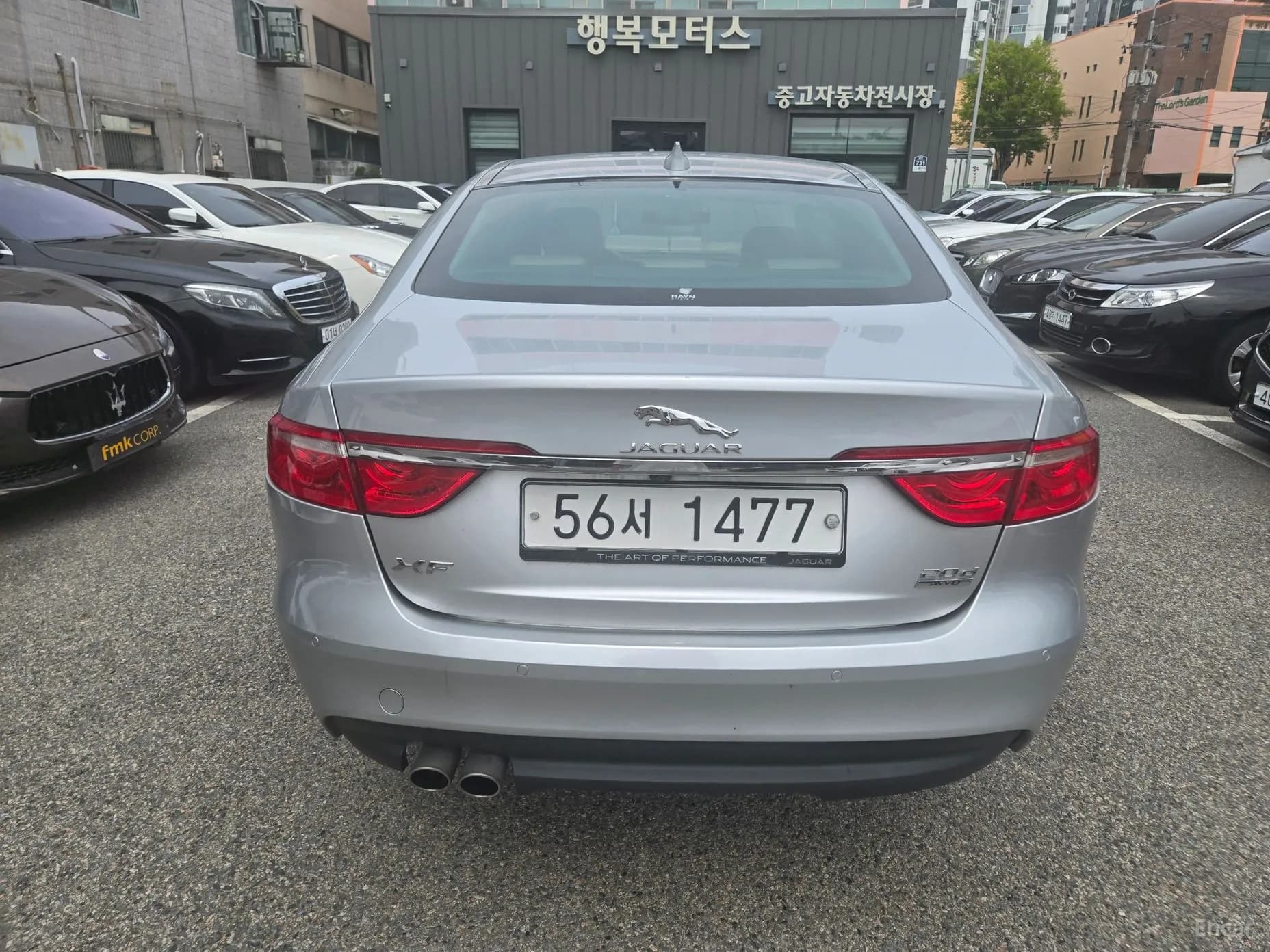 XF (x260)