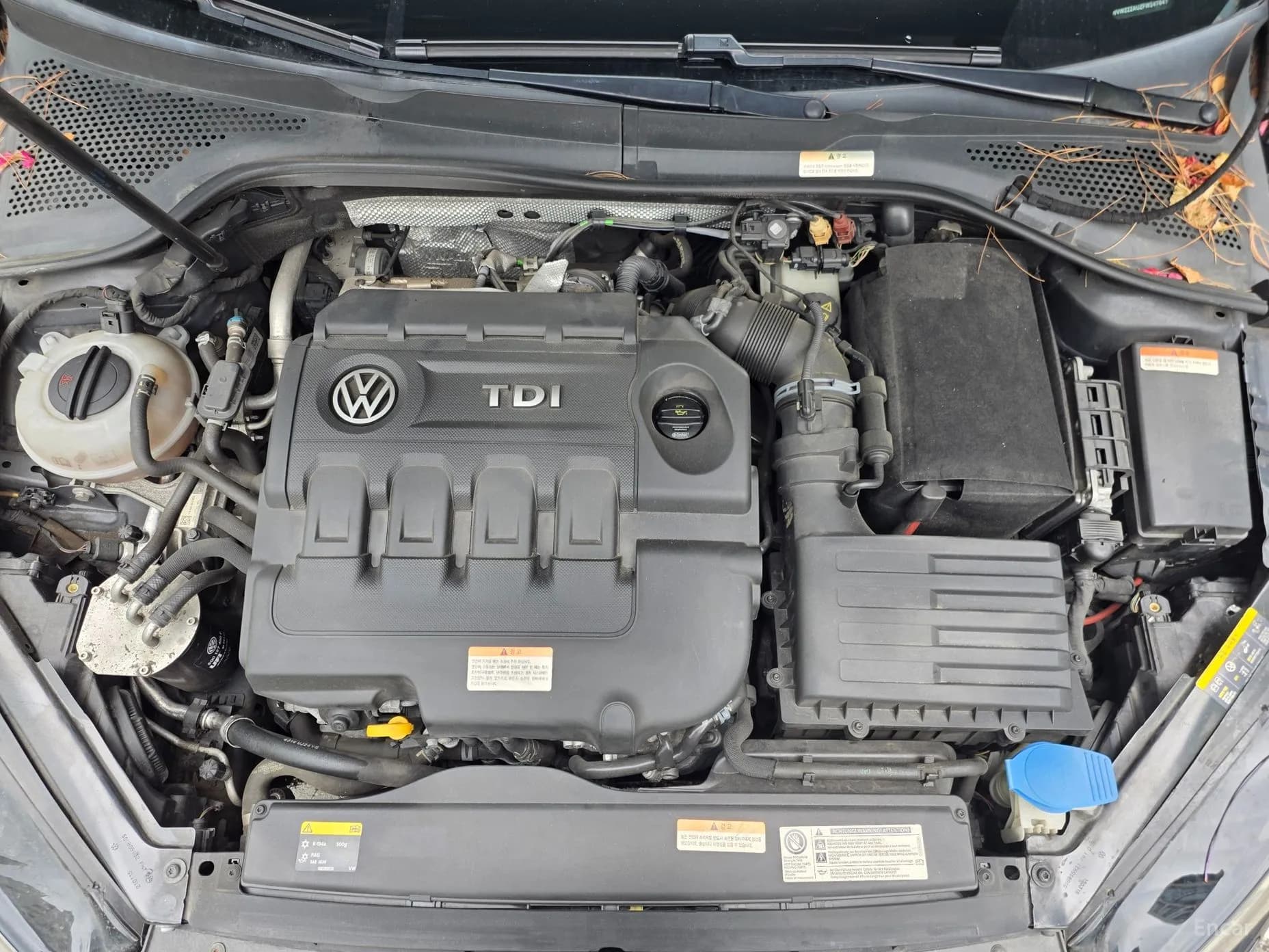 Golf 7th Generation