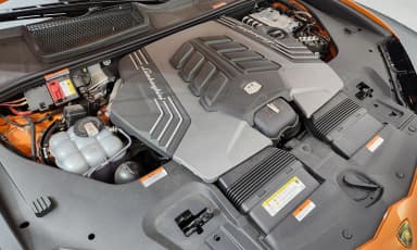 Urus