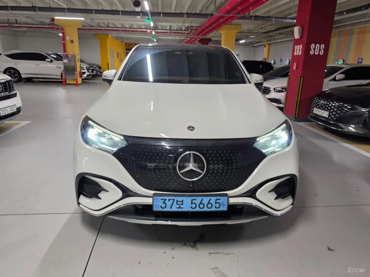 EQE SUV X294