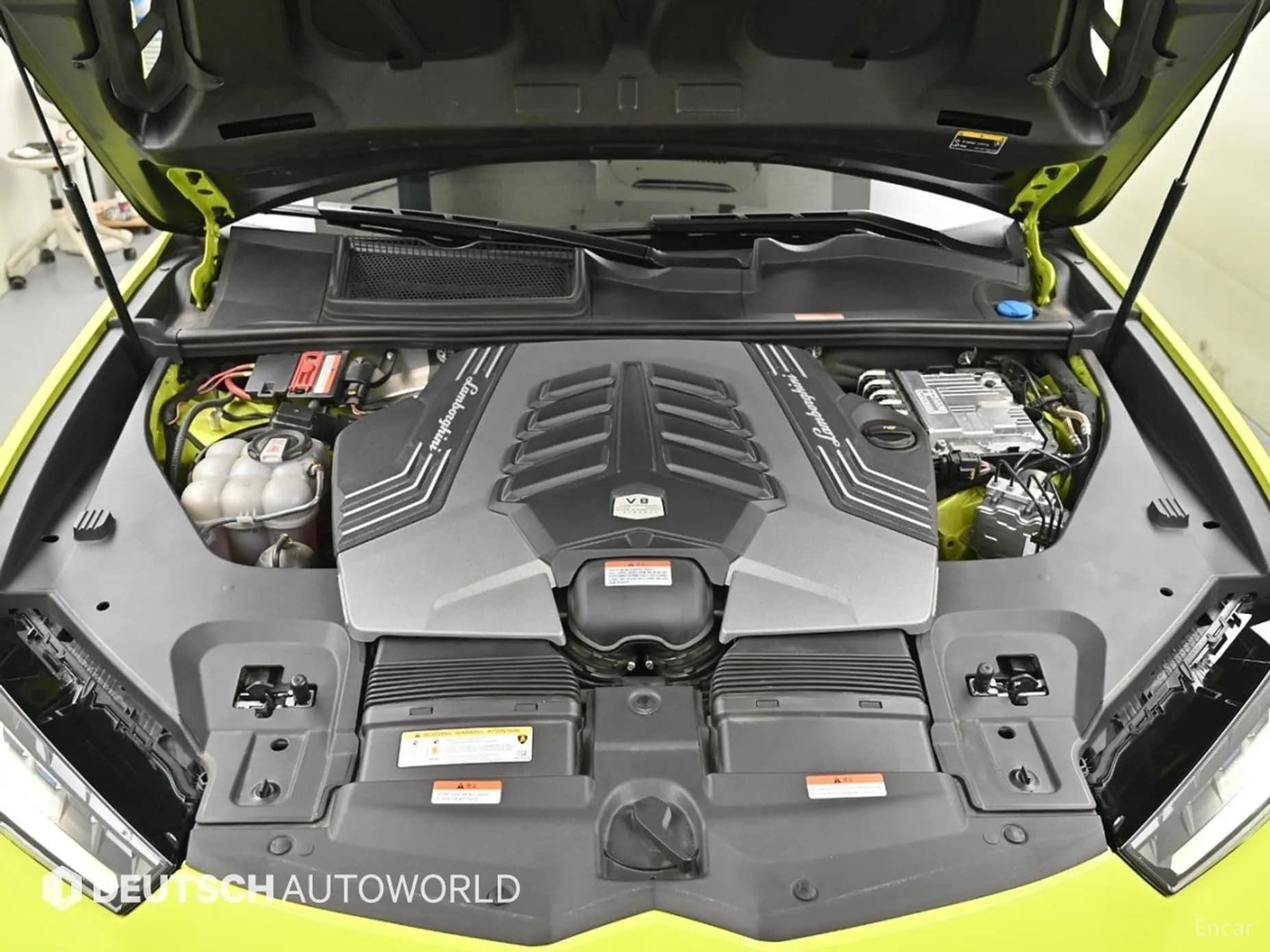Urus