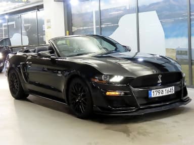 Mustang