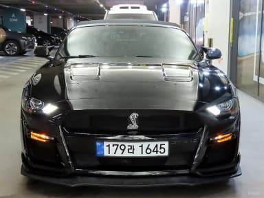Mustang