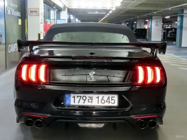 Mustang