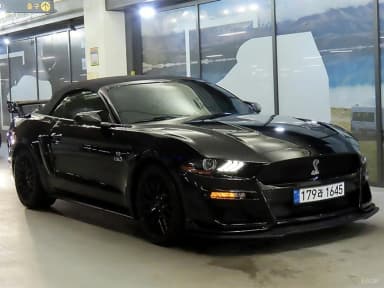Mustang