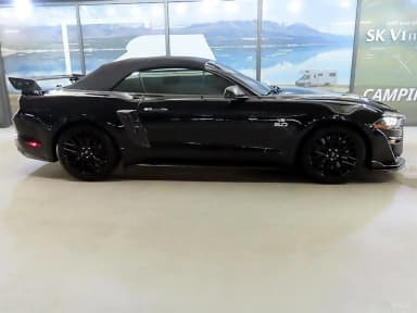 Mustang