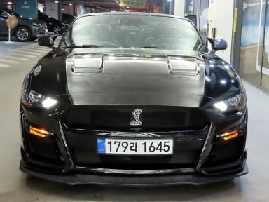 Mustang