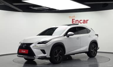 NX300h