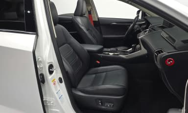 NX300h