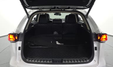 NX300h