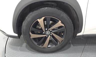 NX300h