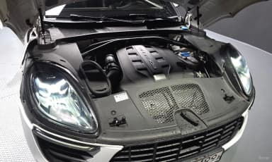 Macan
