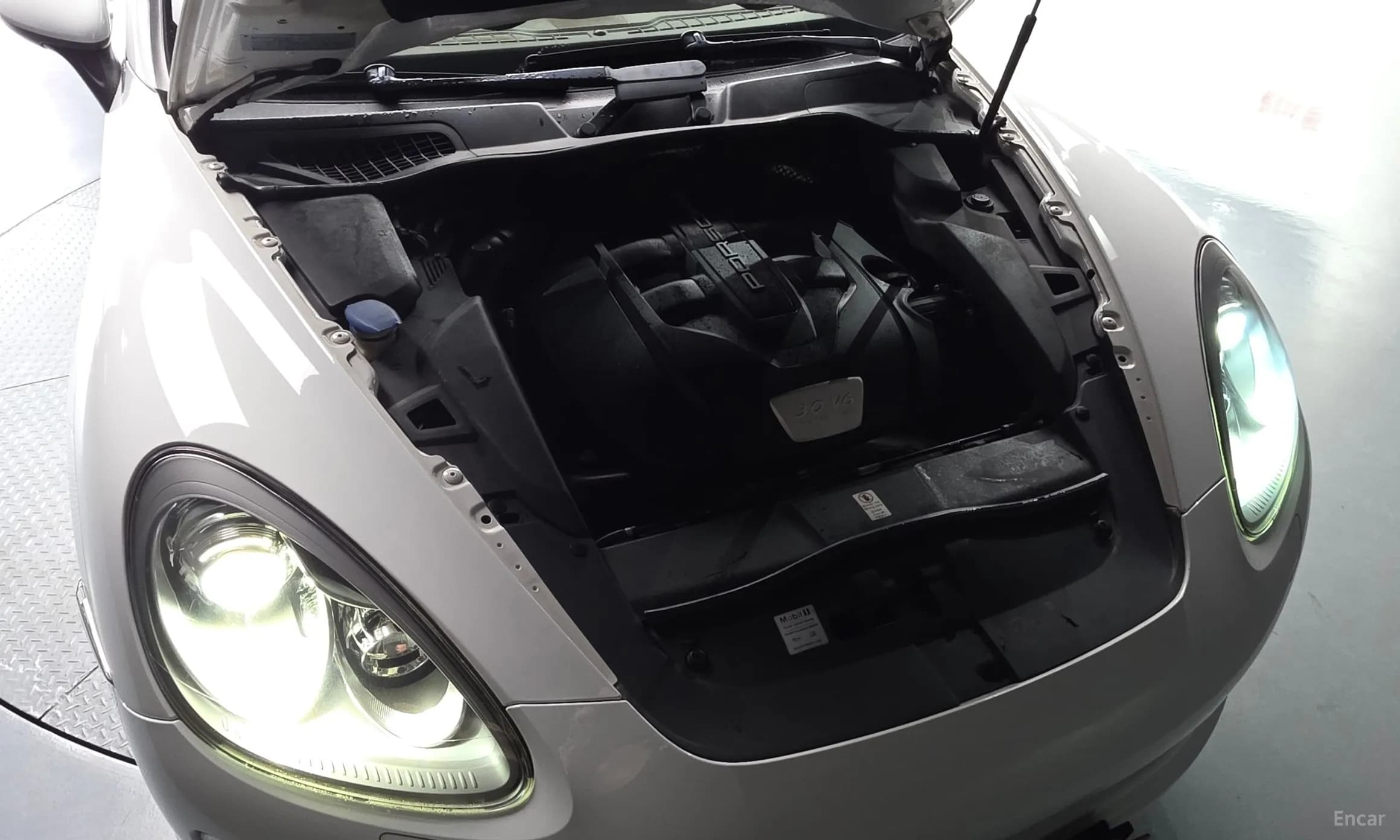 New Cayenne