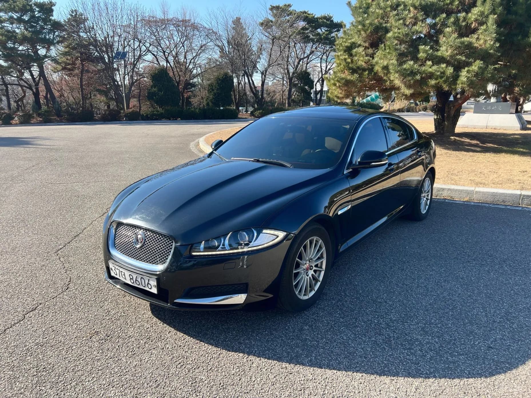 New XF
