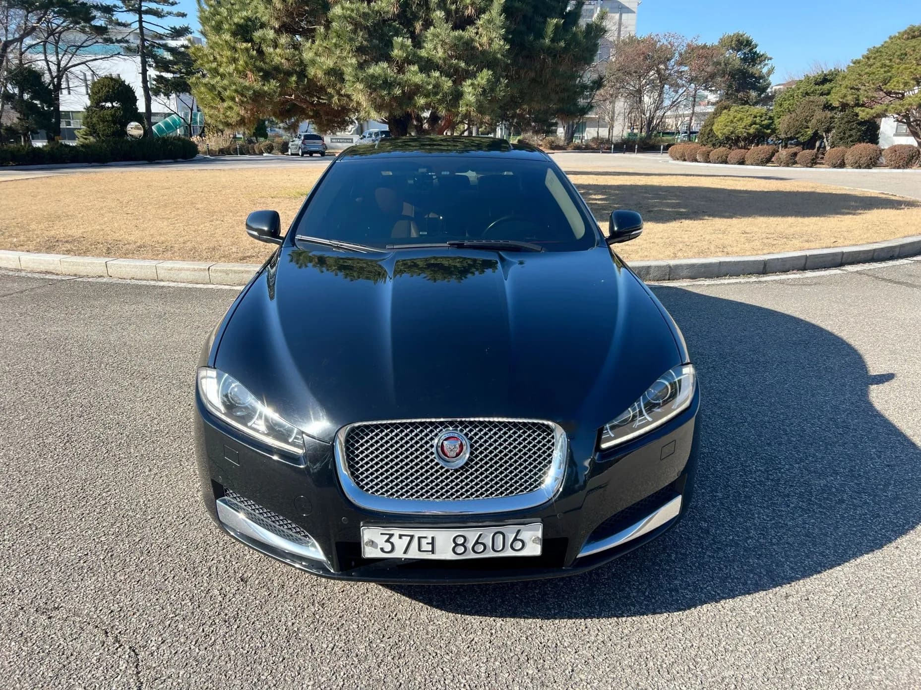 New XF