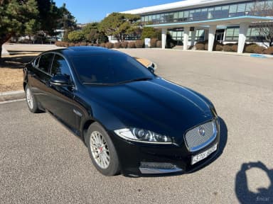 New XF