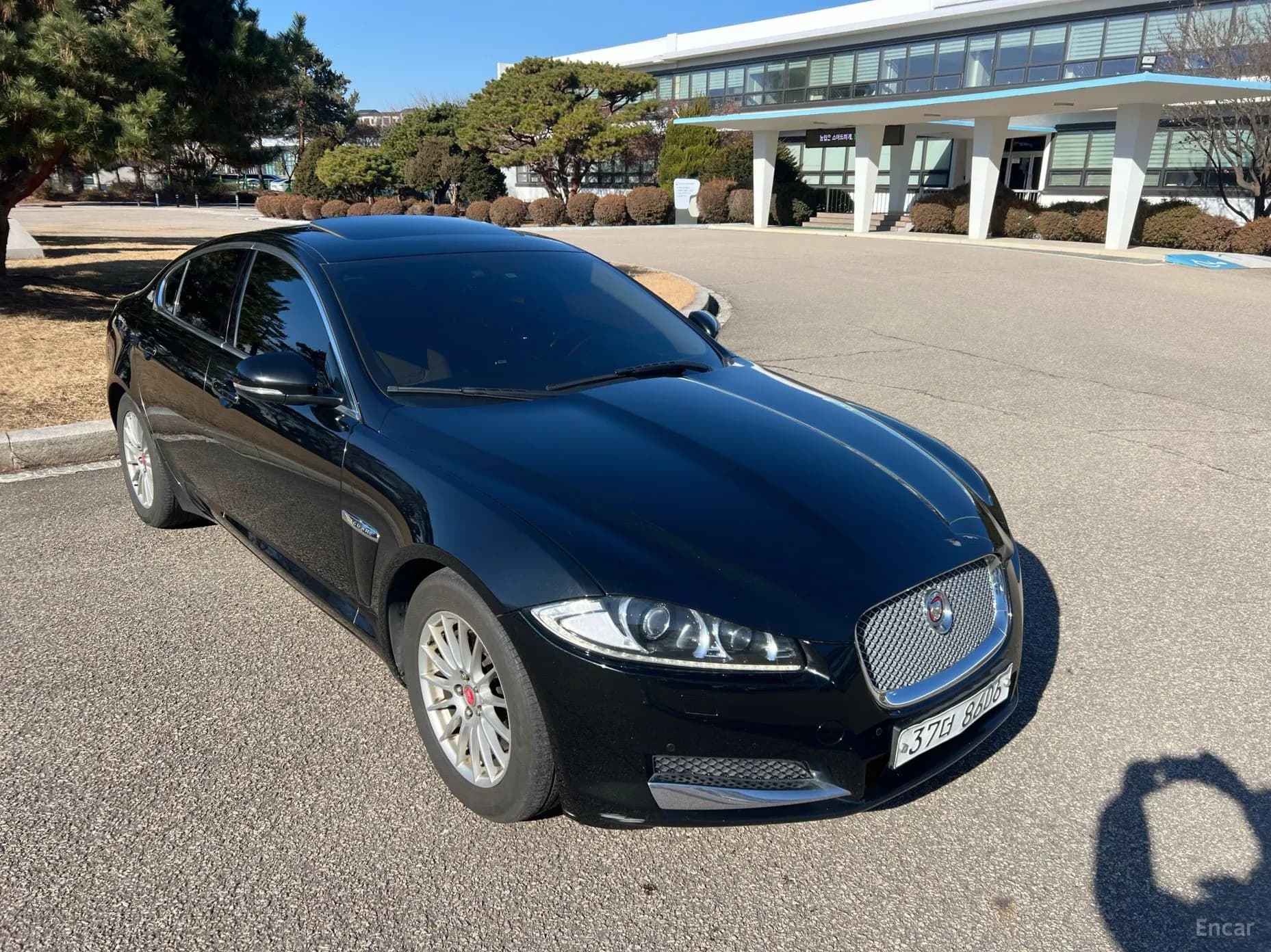 New XF