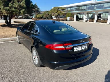 New XF