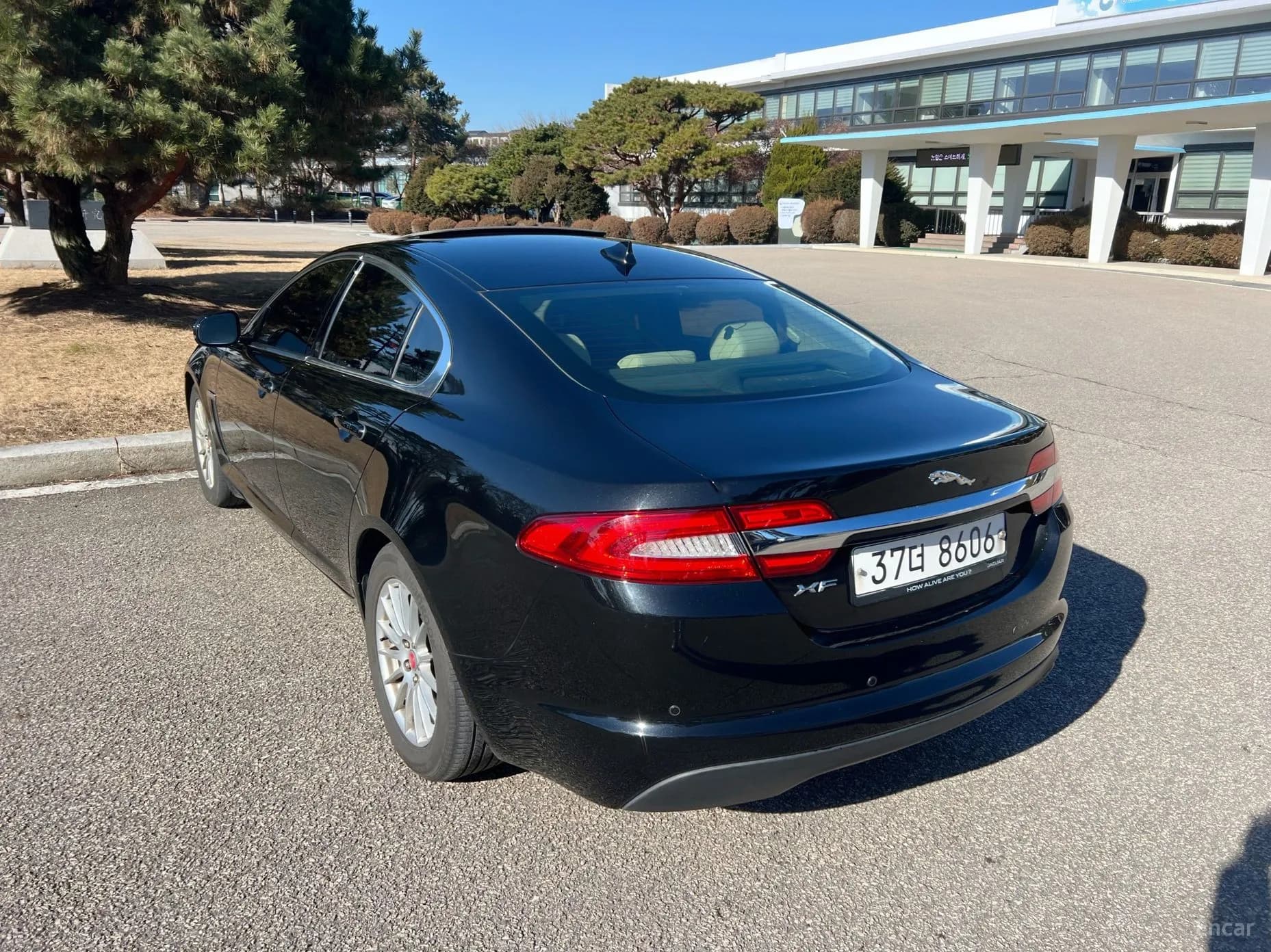 New XF