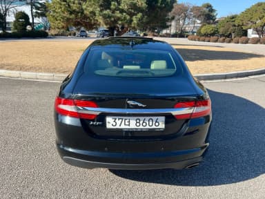 New XF