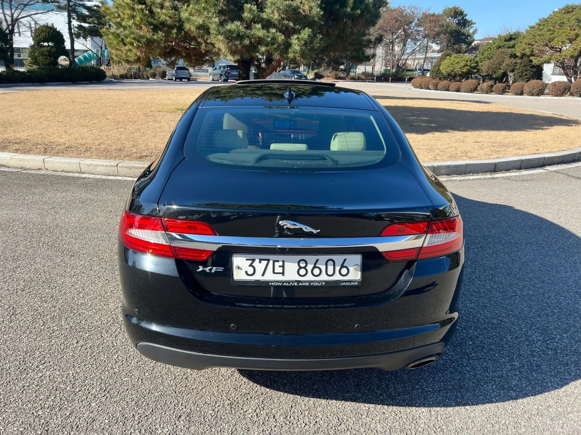 New XF
