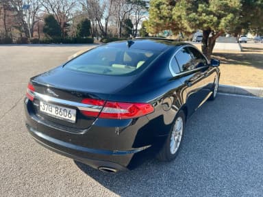 New XF