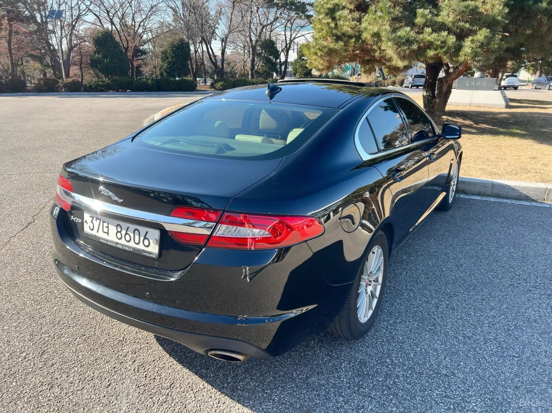 New XF