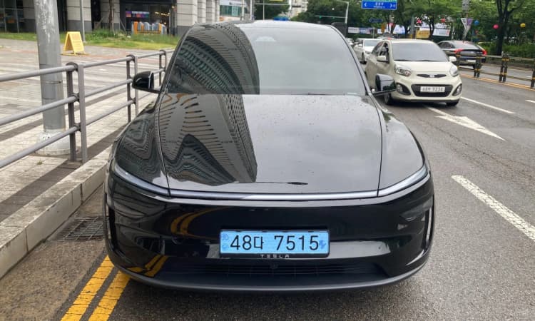Model Y