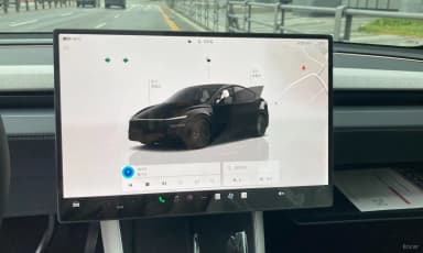Model Y