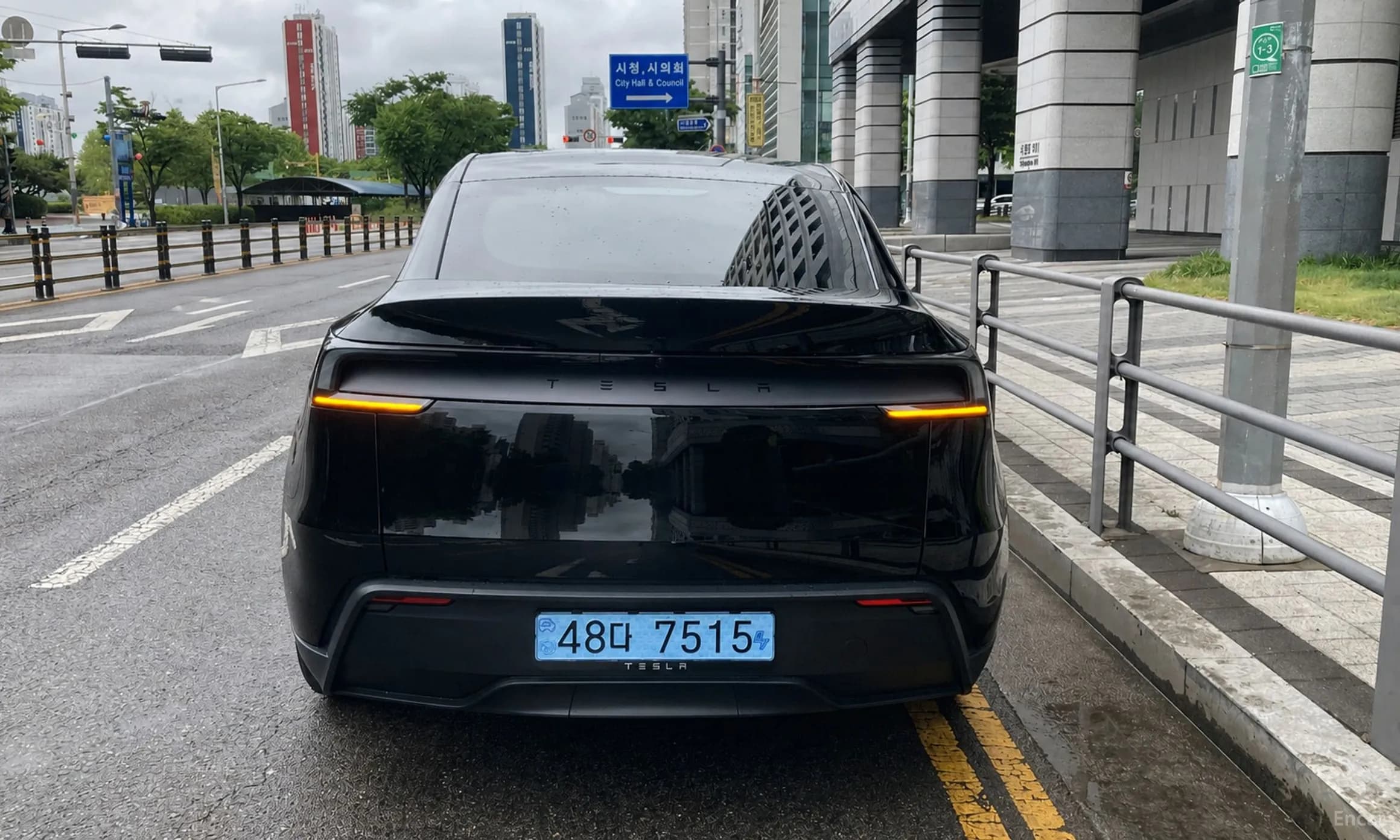 Model Y