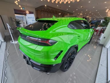 Urus