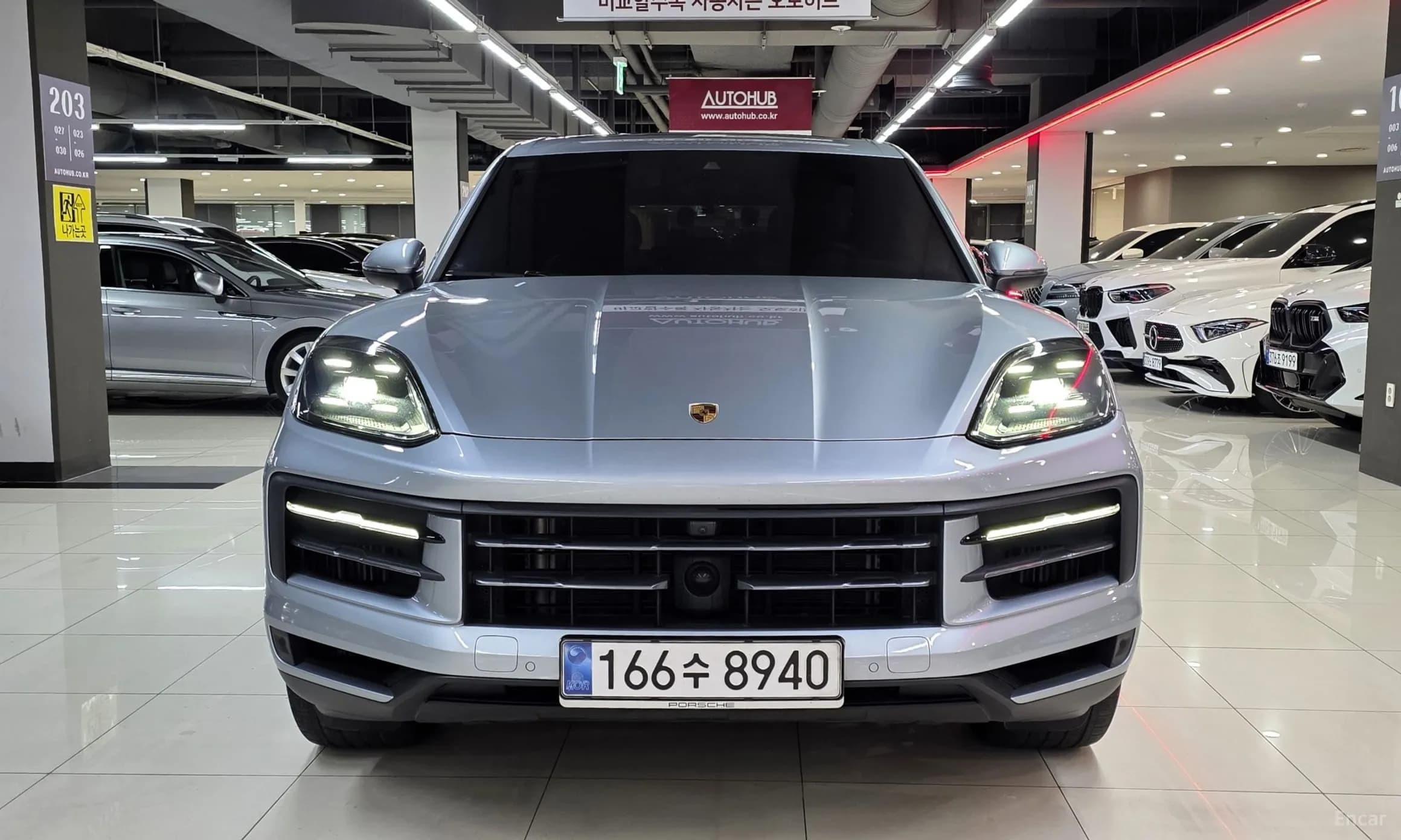 Cayenne (PO536)