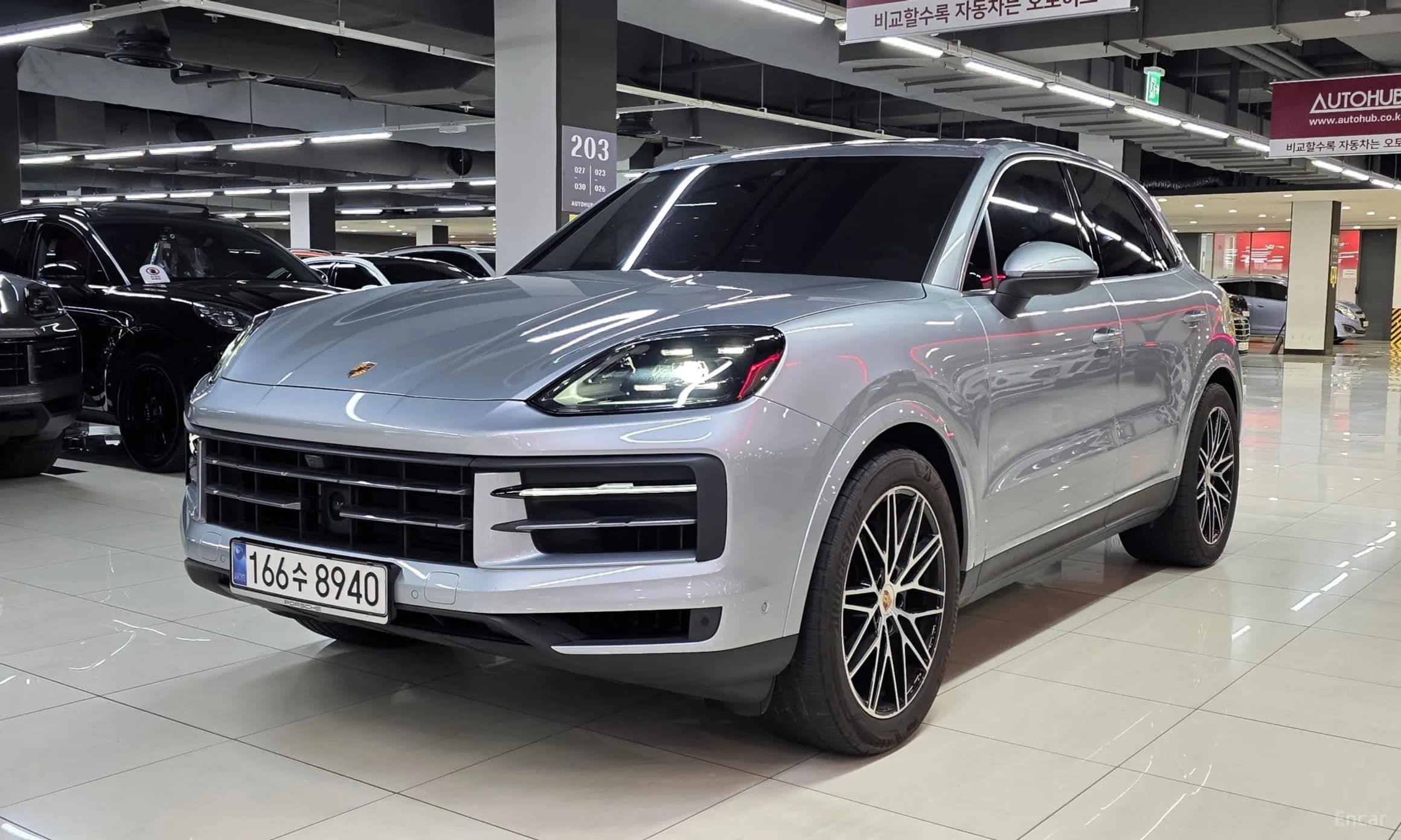 Cayenne (PO536)