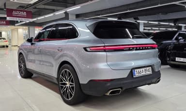 Cayenne (PO536)